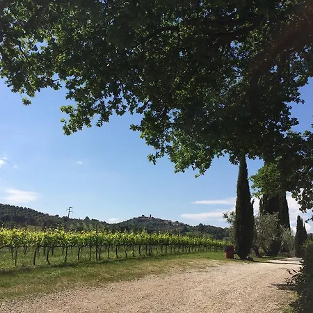 Acquaviva Wine Montemerano