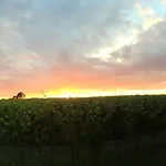 Acquaviva Wine * مونتيميرانو
