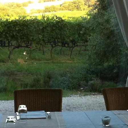 Acquaviva Wine Montemerano