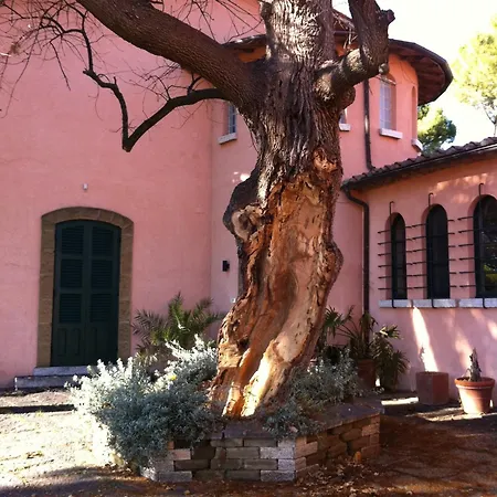 Acquaviva Wine Montemerano