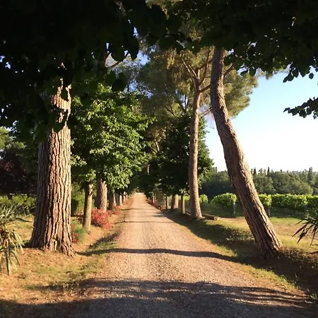 Acquaviva Wine 팜스테이