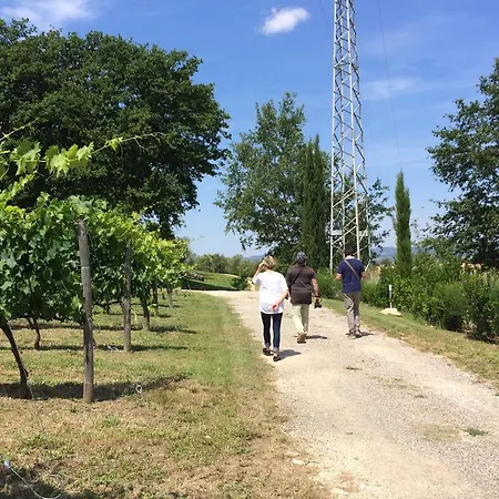 팜스테이 Acquaviva Wine 몬테메라노