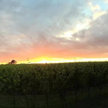 Acquaviva Wine * Montemerano