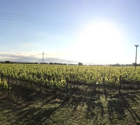 Κατάλυμα σε φάρμα Acquaviva Wine Montemerano