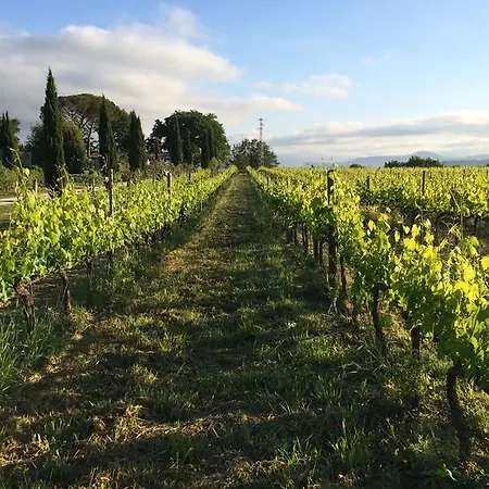 Κατάλυμα σε φάρμα Acquaviva Wine Montemerano