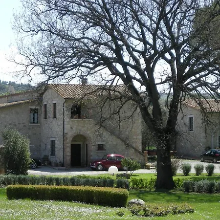 Acquaviva Wine 팜스테이 *