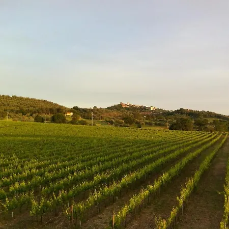 Κατάλυμα σε φάρμα Acquaviva Wine