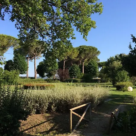 Acquaviva Wine Farma