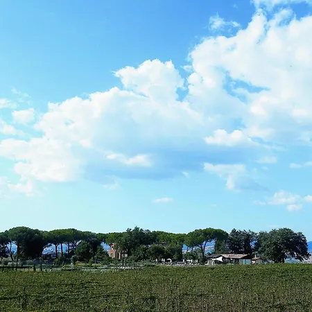 Farma Acquaviva Wine *