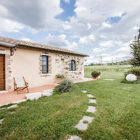 Farma Acquaviva Wine